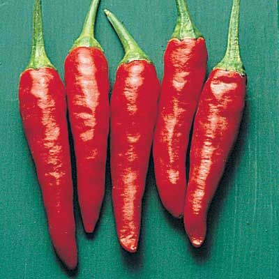 Chili - Paprika