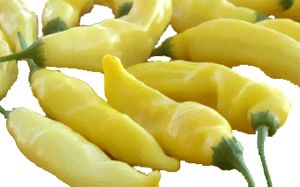 Chili - Hot Lemon