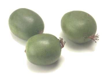 BABY KIWIFRUIT