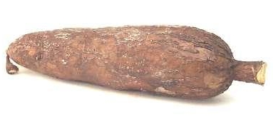 Cassava