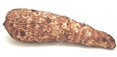 Malanga