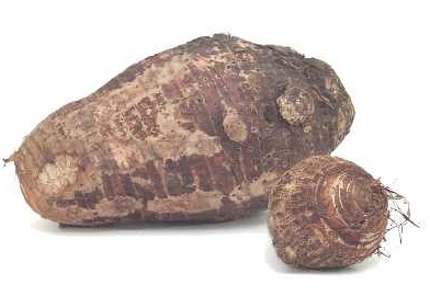 Taro