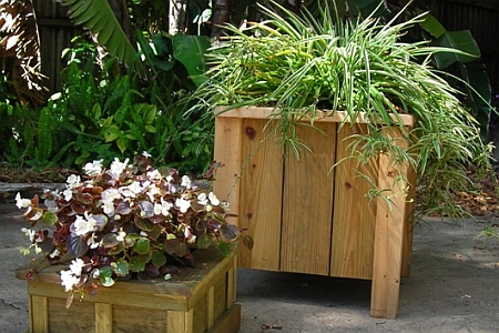 Wood