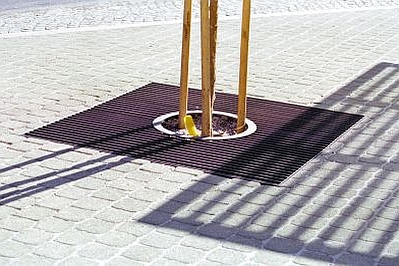 APĂRĂTORI ARBORI