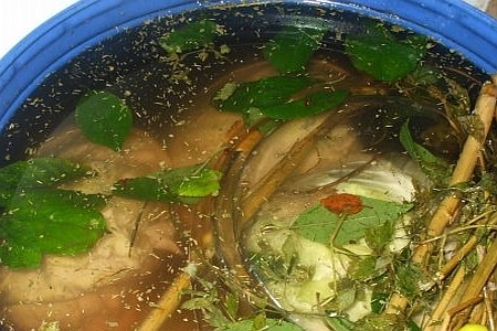 Sauerkraut juice