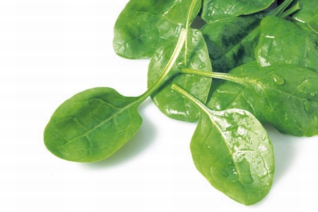 Spinach