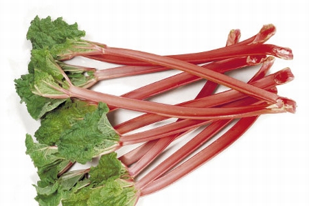 Rhubarb