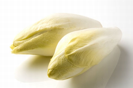 CHICORY