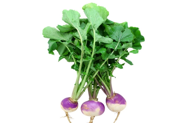 Turnip green