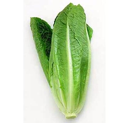 Romaine
