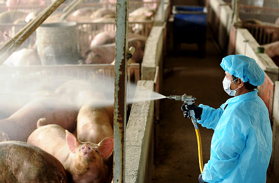 Disinfection, pest control, vermin control