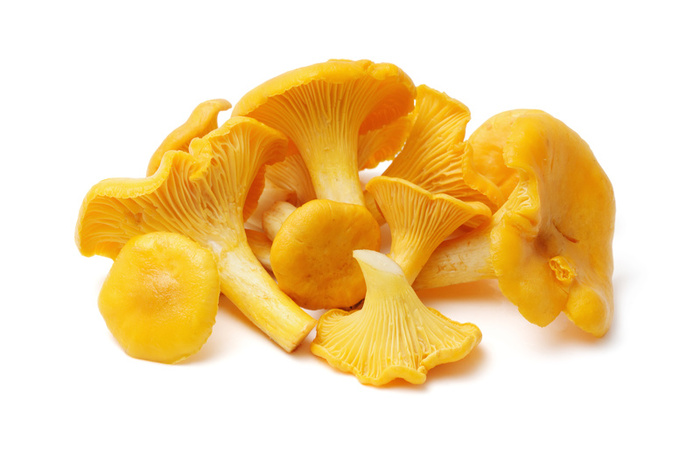 Gălbiori