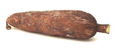 Manioc/cassava