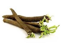 Scorzonera / black salsify