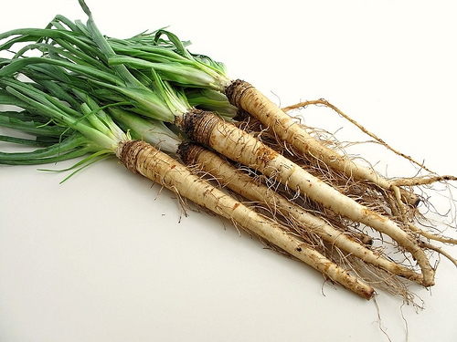 Salsify