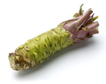 Wasabi