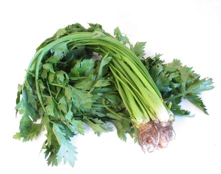 Chinese celery
