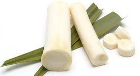 Hearts of palm