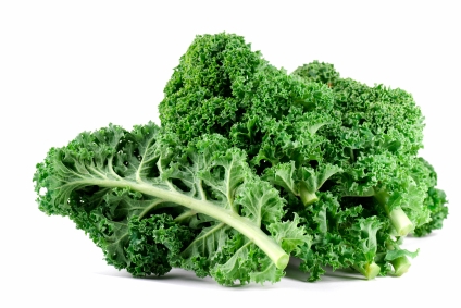 BRASSICA<br /><span>Varză Kale</span>