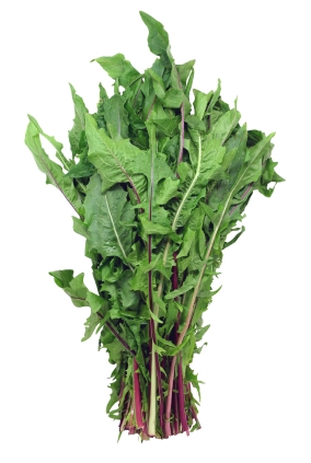 Păpădie frunze
