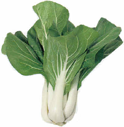 Chinese cabbage
