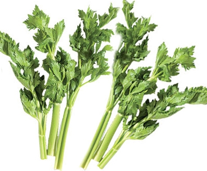 Celery leaves