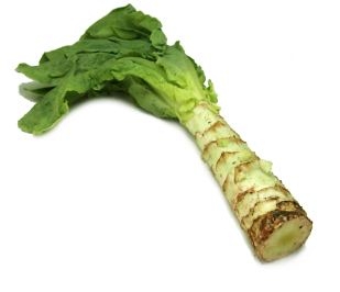 Celtuce