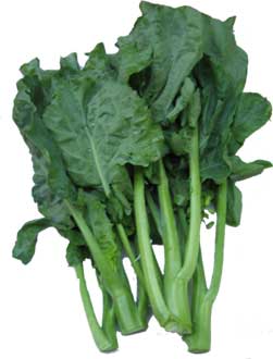 VARZĂ KAILAN