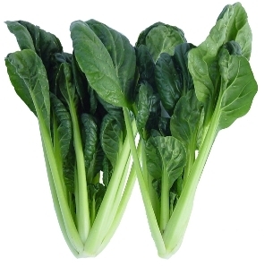 Komatsuna Cabbage