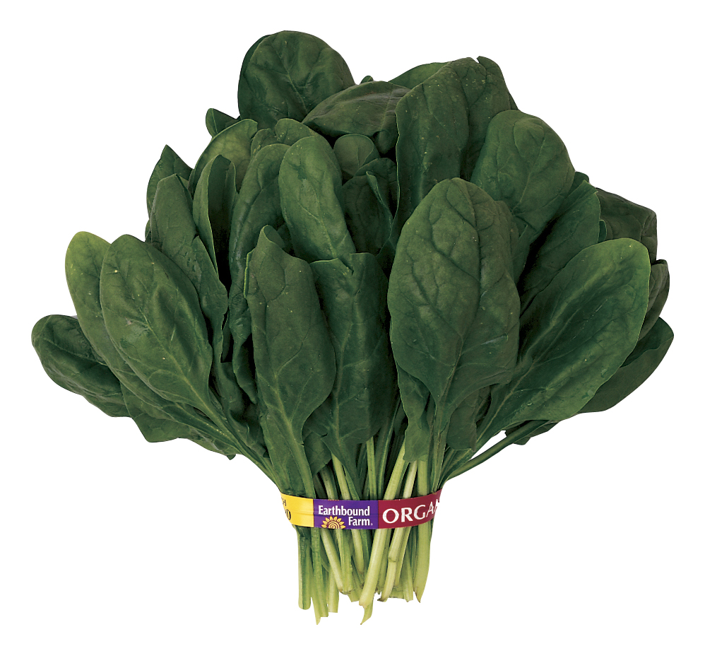 Smooth-Leafed Spinach