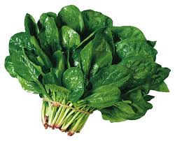 Semi-Savoy Spinach