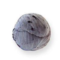 Cabbage - red