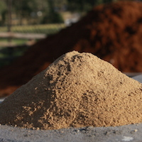 Guano