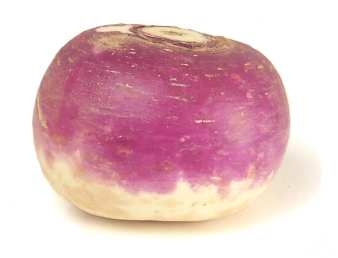 Rutabaga