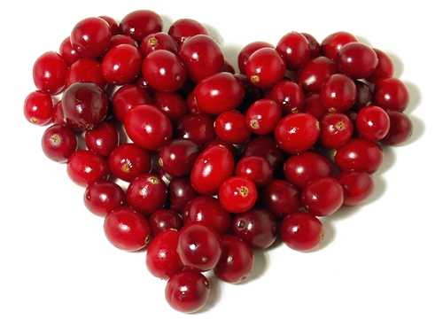 Cornus fruits