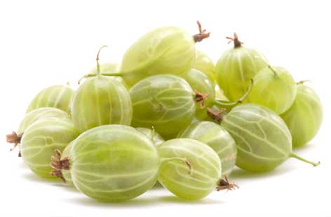 Gooseberry