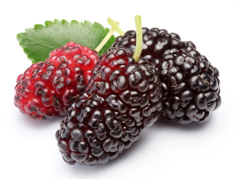 Mulberries