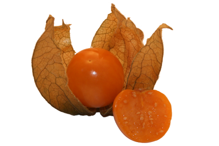 CAPE GOOSEBERRY