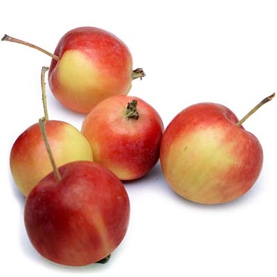 Crab Apples