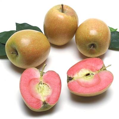 Hidden Rose Apples