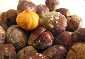 ROASTED & SALTED INSHELL HAZELNUTS