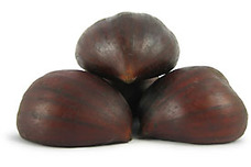 Castane comestibile