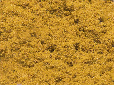 Curry african