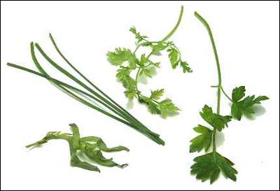 Fines herbes