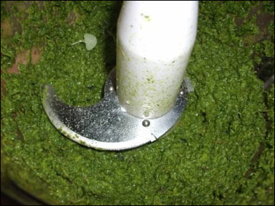Gremolata