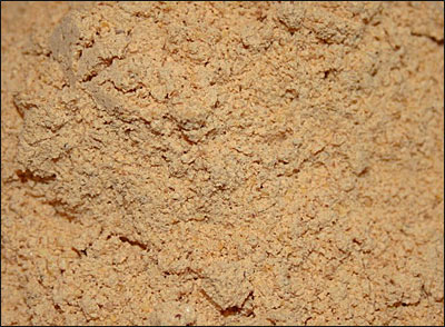 Milagai podi