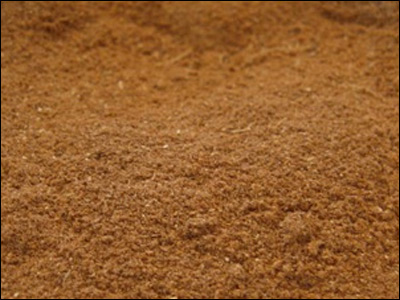 Pumpkin pie mix