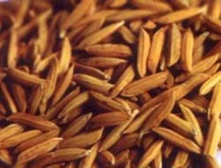 Indrayani rice