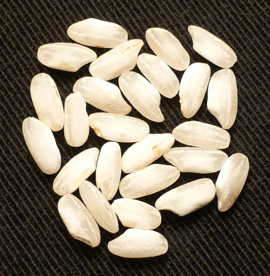 Caranoli rice