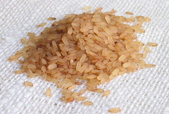 Champa rice
